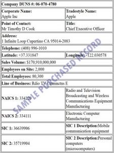 Sample-Company-Lookup-Purchased-Record-1-1-225x300.jpg