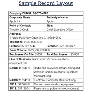 A sample Company Lookup Record layout showing corporate information for Apple Inc., including its DUNS number, address, CEO, contact details, and industry codes. The total number of employees listed is 123,000.