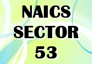 NAICS SECTOR 53