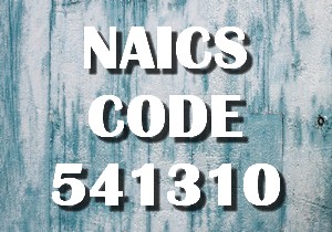 NAICS CODE 541310