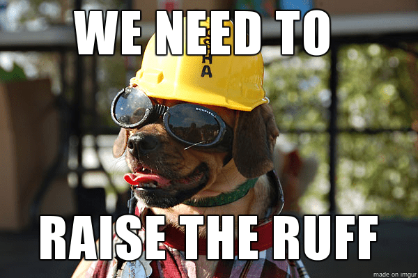 construction-meme-dog