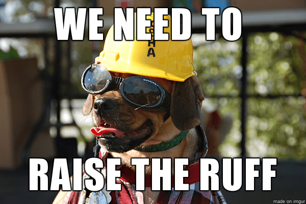 construction-meme-dog construction-meme-dog
