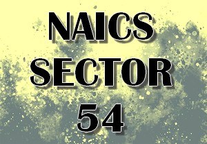 naics sector 54