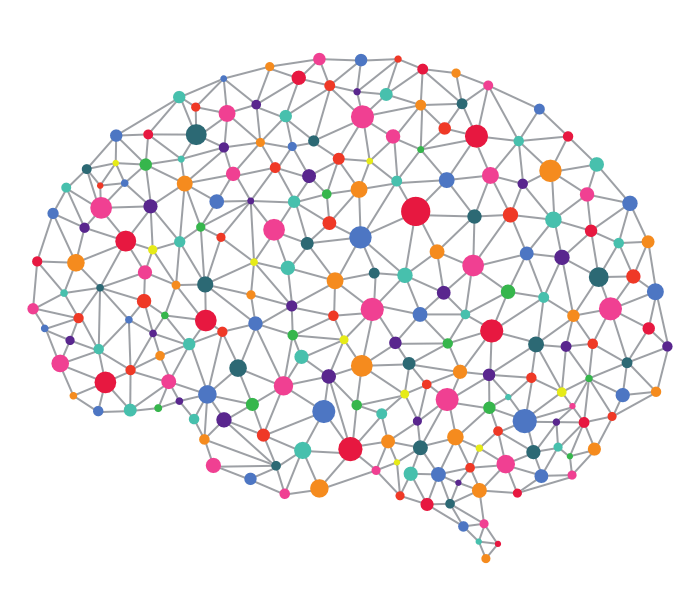 brain brain