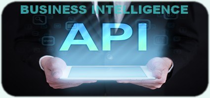 BIZ API INTELLIGENCE